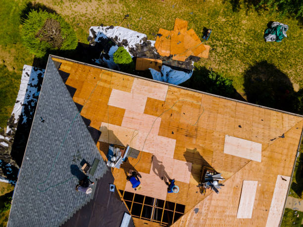 Best Storm Damage Roof Repair  in Wintersville, OH
