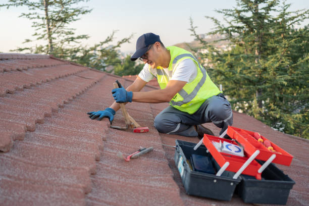 Gutter Installation and Roofing in Wintersville, OH