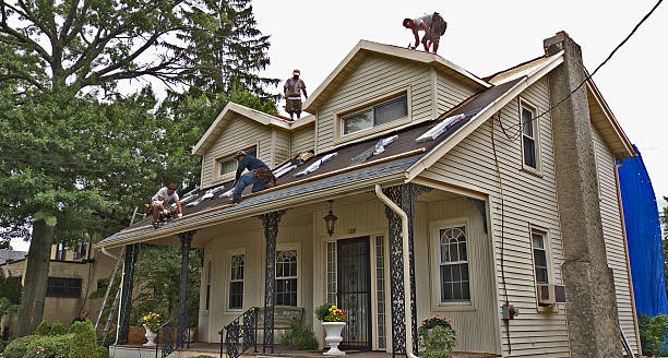 Roof Gutter Cleaning in Wintersville, OH