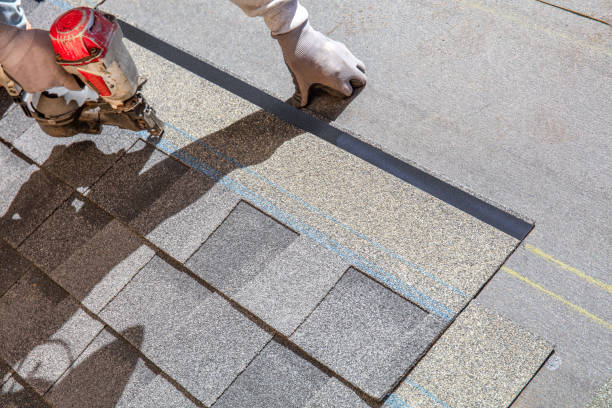 Best Roof Gutter Cleaning  in Wintersville, OH